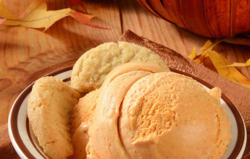 Fresh Pumpkin Dessert Ideas To Level Up Your Holiday Season 10 Pumpkin ice cream