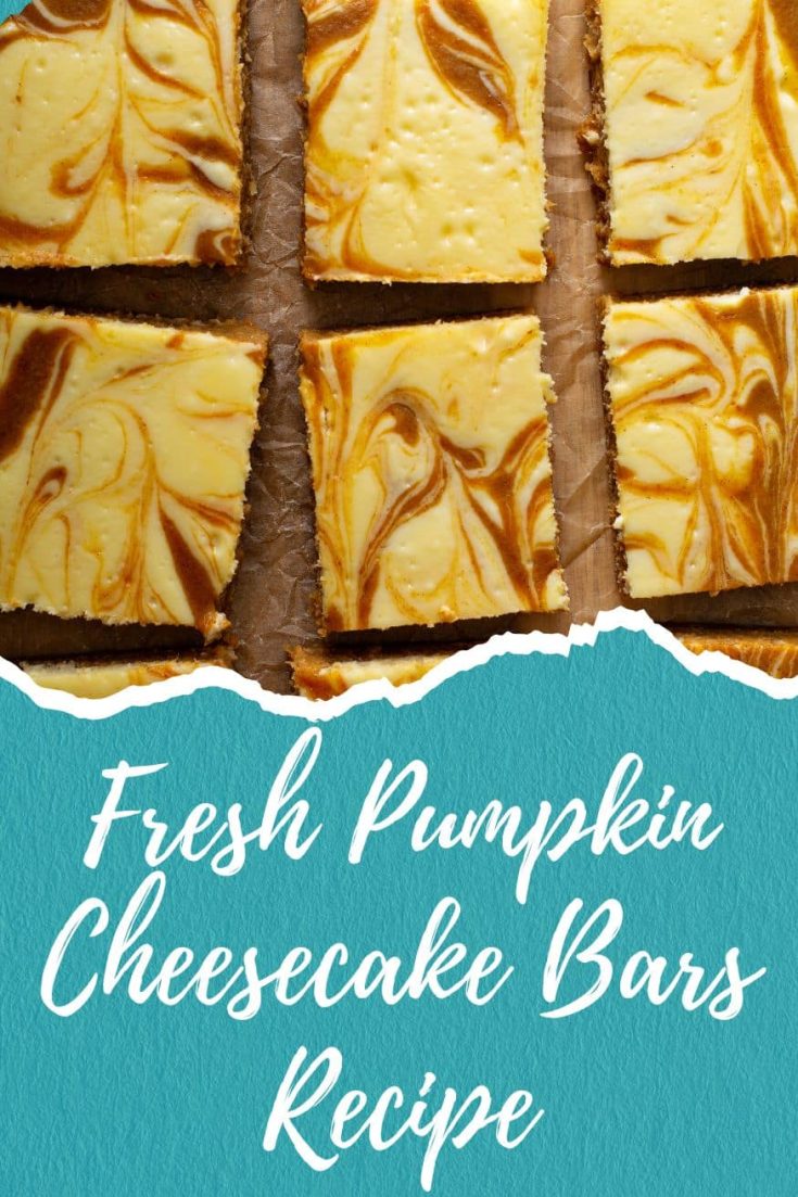 fresh pumpkin cheesecake bars recipe