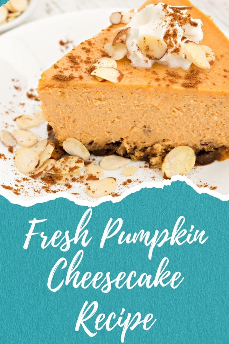 fresh pumpkin cheesecake recipe