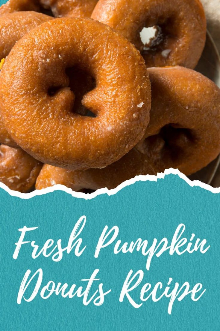 fresh pumpkin donuts recipe