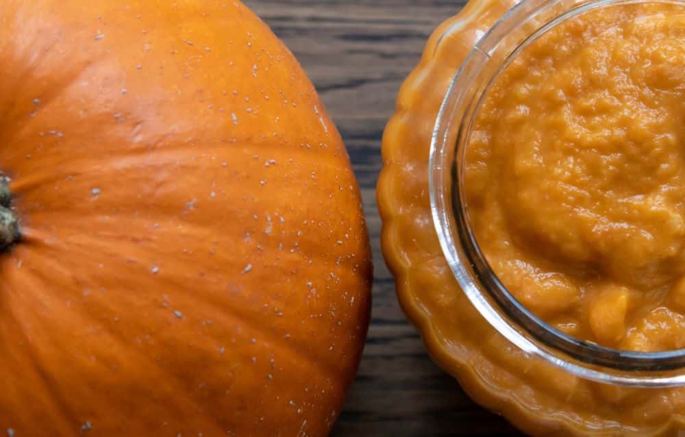pumpkin puree
